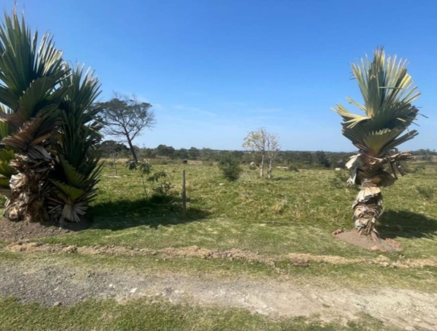 Commercial Property for Sale in Cove Ridge East Eastern Cape